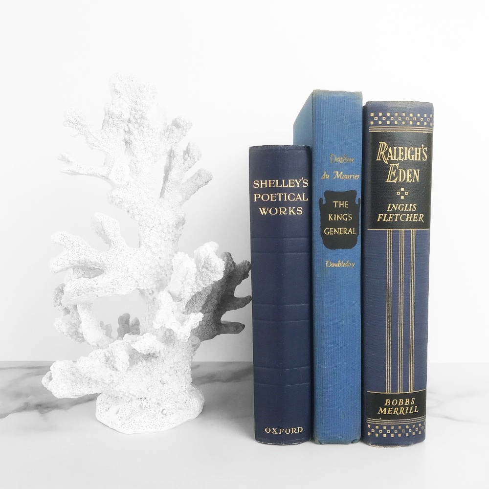 SOLD - Blue Hardcover Vintage Decor Set